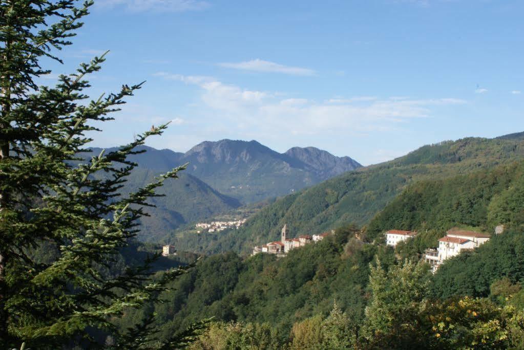 Ristorante Il Cacciatore Hotel 3*